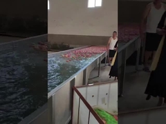 เครื่องล้างและคัดผลไม้