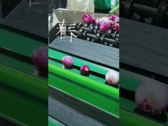 ปรับแต่งผักผลไม้ Grader