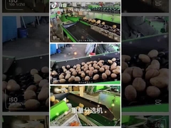 ปรับแต่งผักผลไม้ Grader