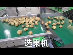 ปรับแต่งผักผลไม้ Grader