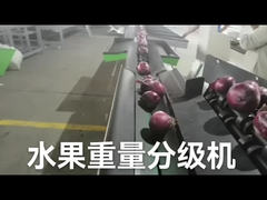 เครื่องคัดแยกและชั่งน้ำหนักผลไม้อัตโนมัติแบบอิเล็กทรอนิกส์
