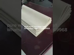 สายขนส่งสายใยแท้