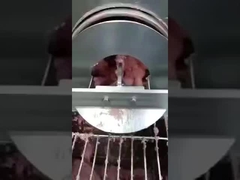 สายพานแยกก้างปลา PU, สายพานแยกกระดูก, สายพานลำเลียง