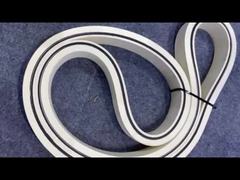 สายขนยางแยกกระดูกปลายาง